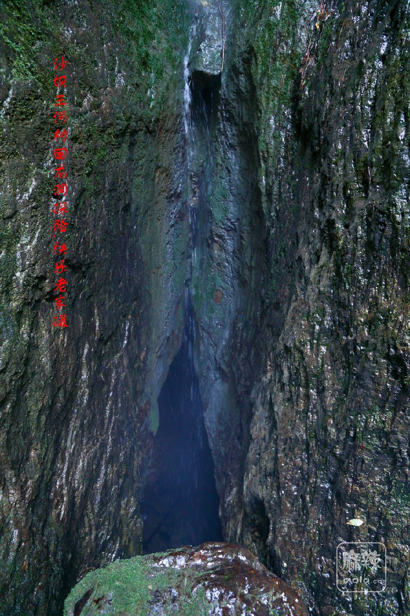 IMG_7090_副本.jpg