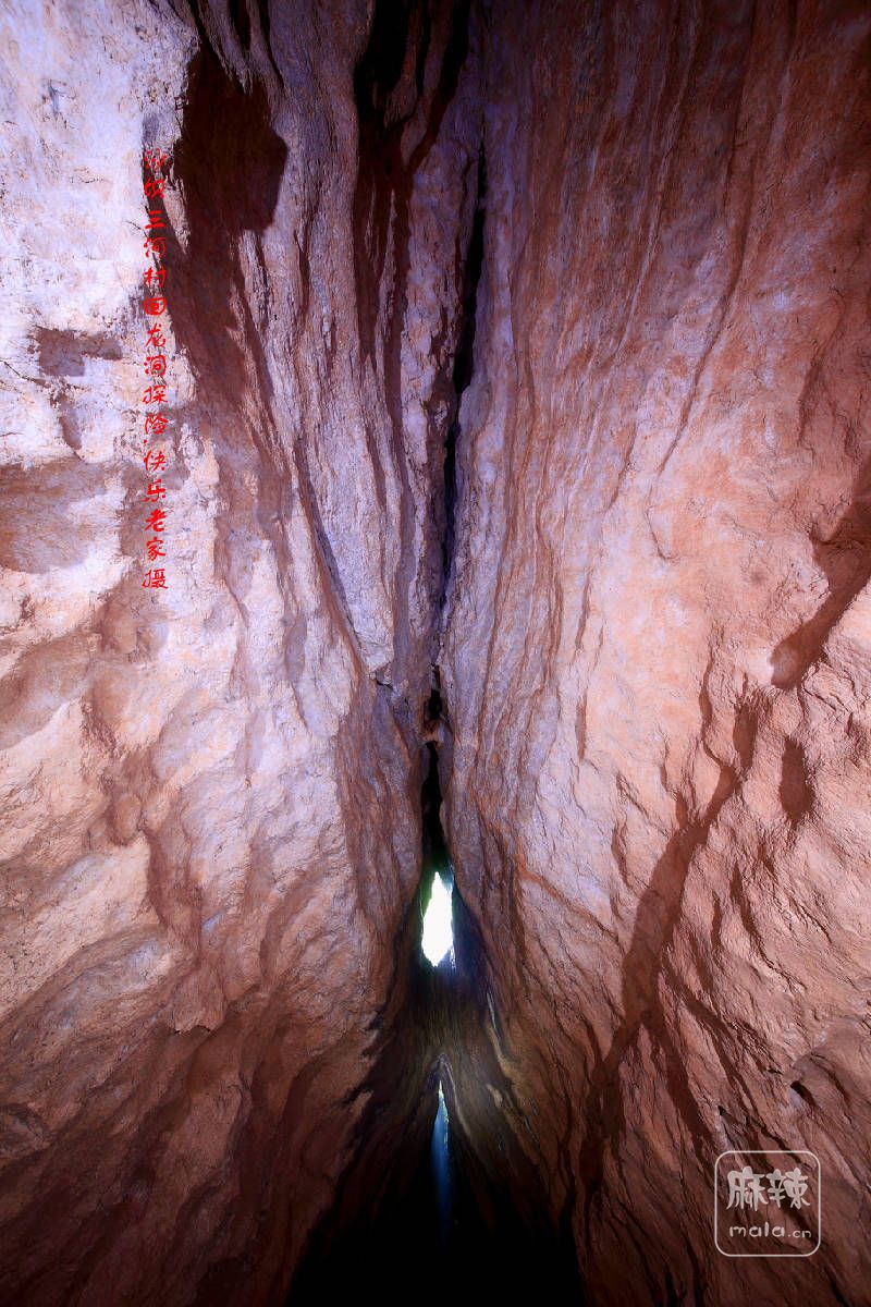 IMG_7510_副本.jpg