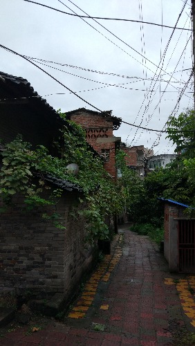IMG_20170904_173333.jpg