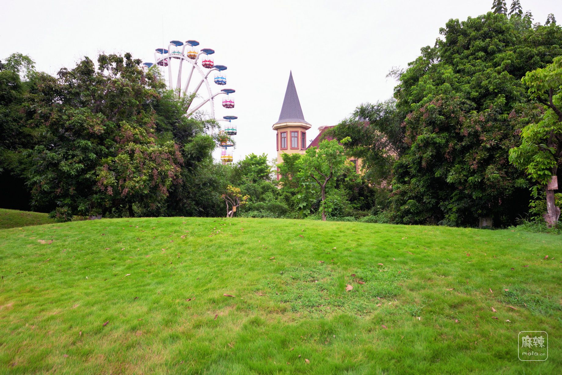 GLN_2389_01.JPG