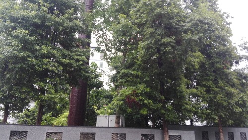 IMG_20170905_083554.jpg