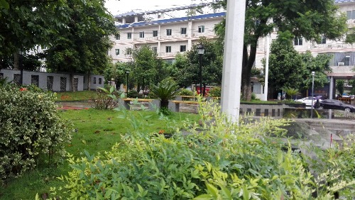 IMG_20170905_083732.jpg