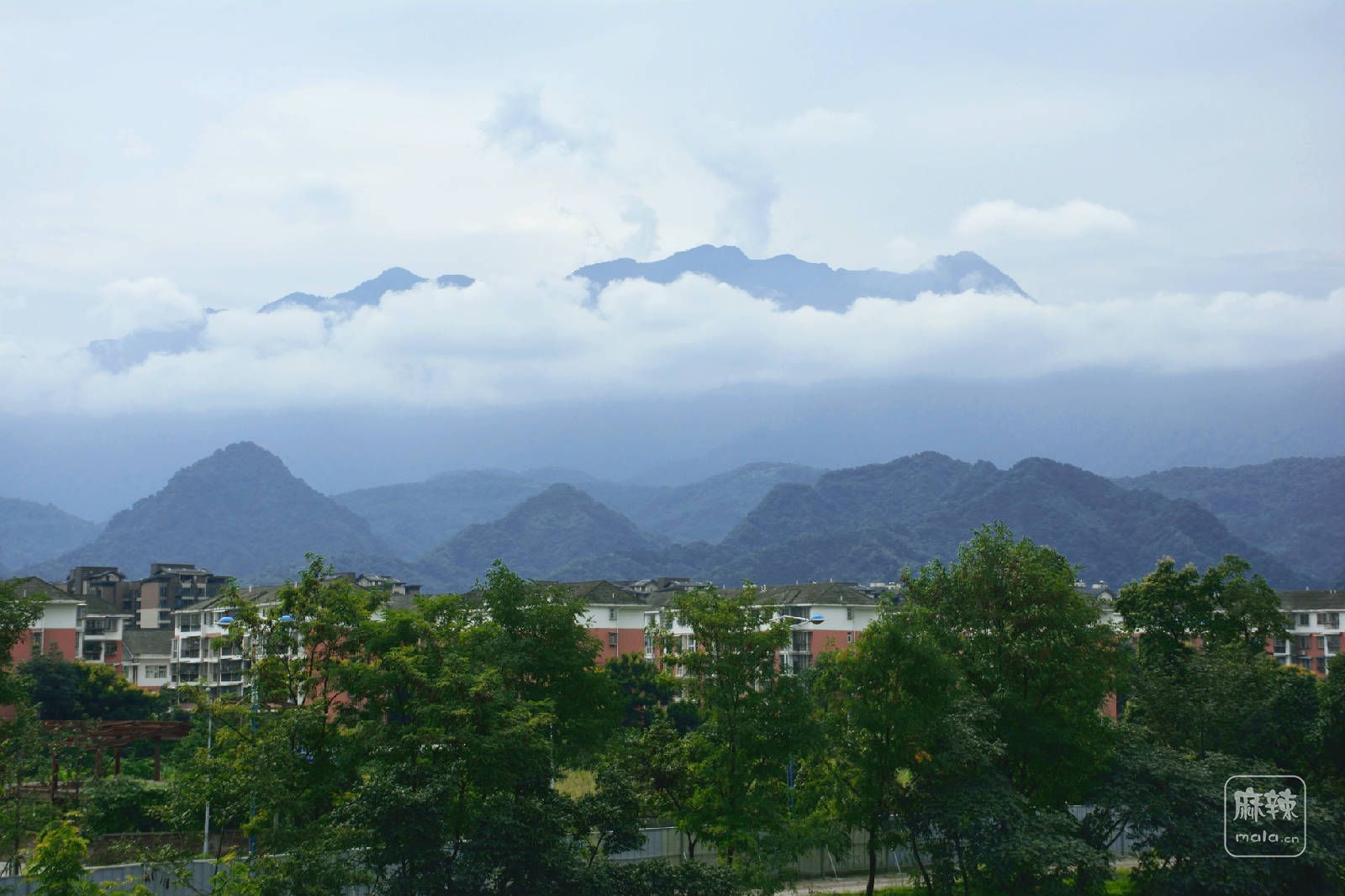 DSC_1966 拷贝.JPG