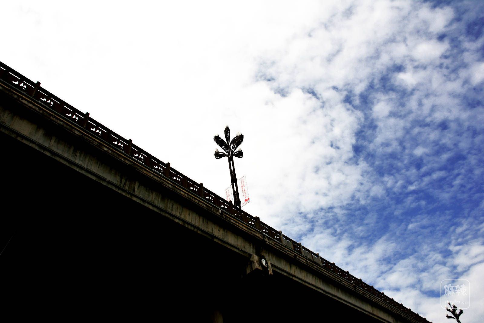 DSC_1991 拷贝.jpg