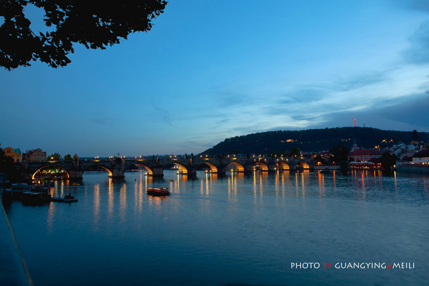_MG_2463A.jpg