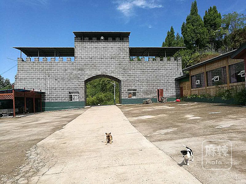 10月中旬将在顺庆区同仁乡四方寨帐篷音乐节