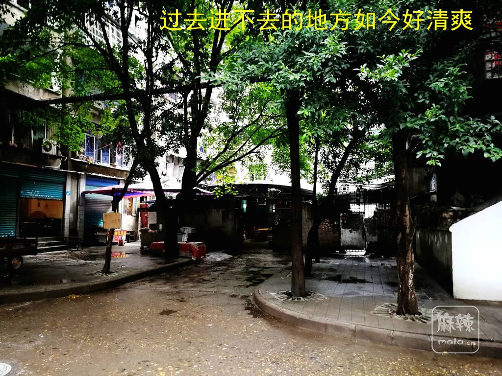 IMG_20170905_114510_副本.jpg