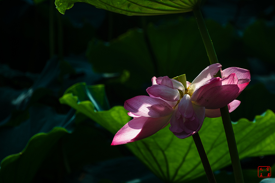DSC_0122.jpg