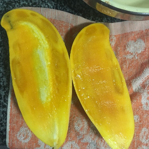 image.jpeg
