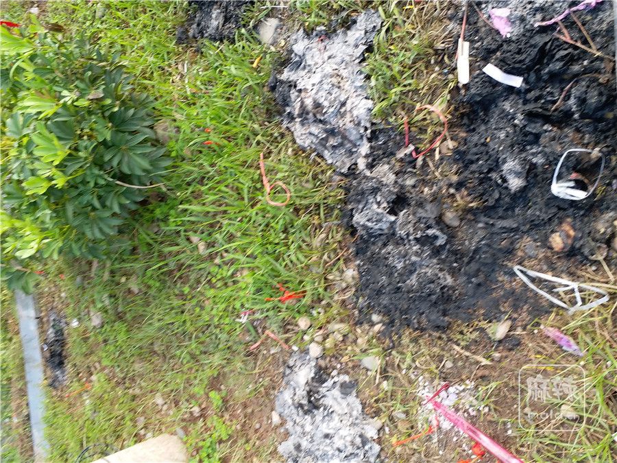 20170906_084032.jpg