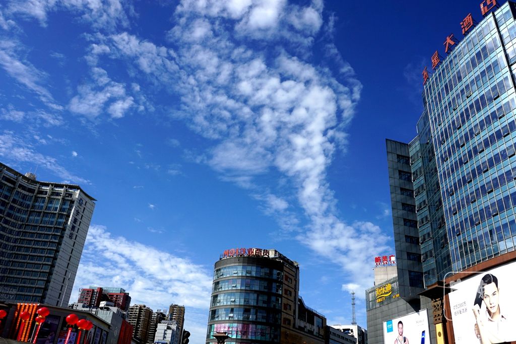 DSC02209_副本.jpg