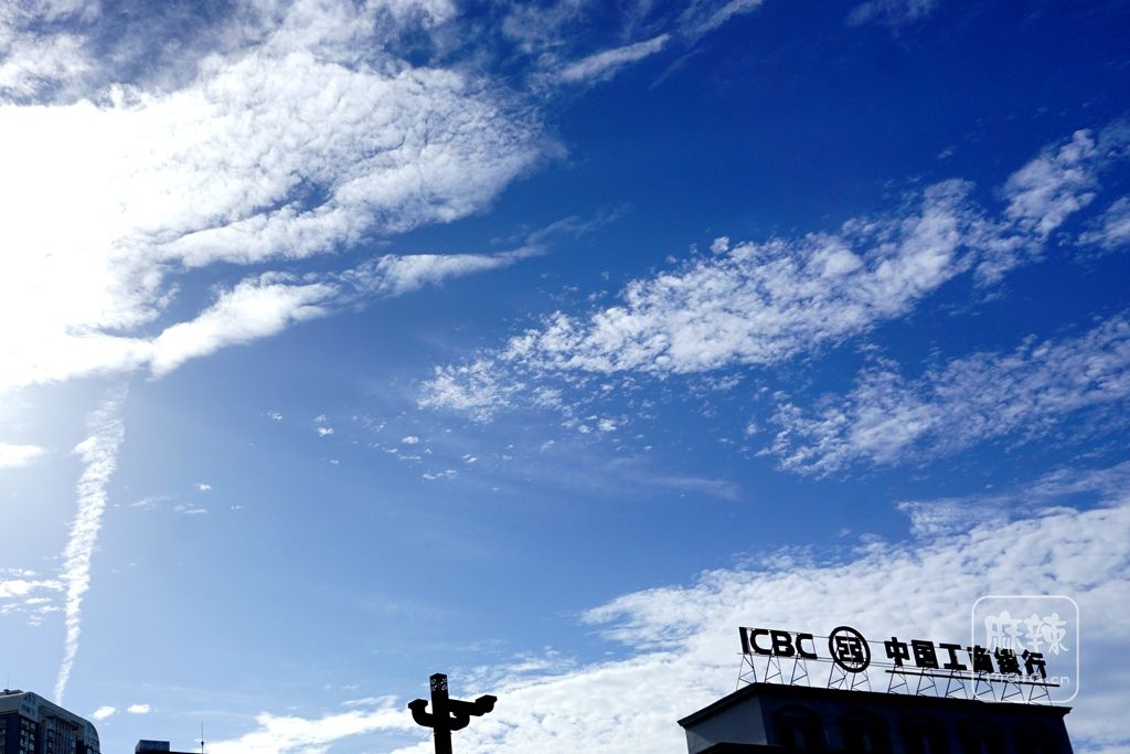DSC02213_副本.jpg