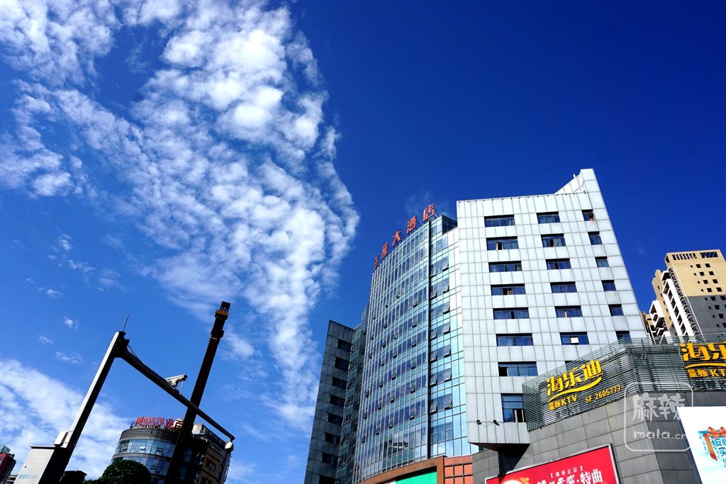 DSC02208_.jpg