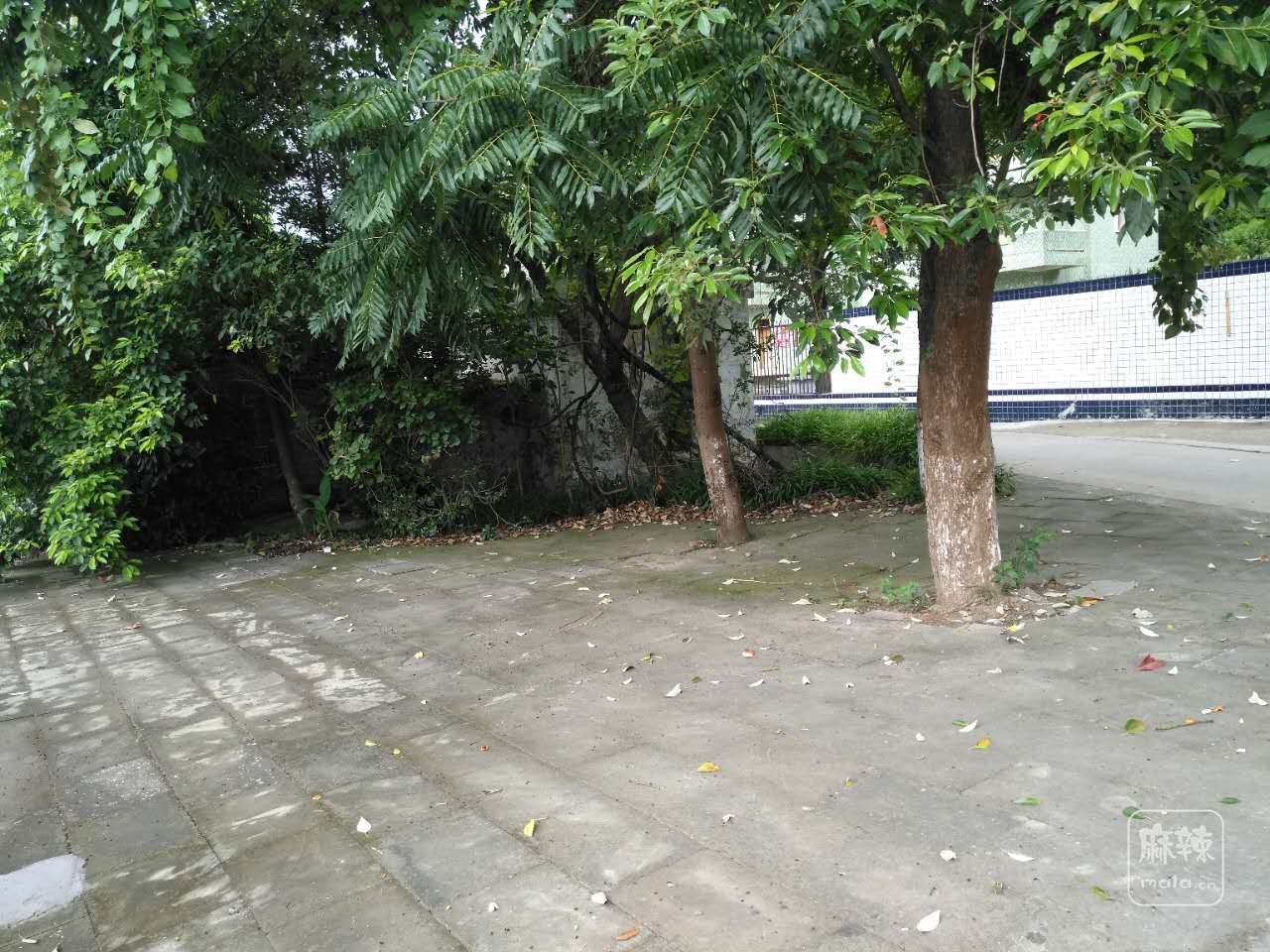 微信图片_20170911173901.jpg