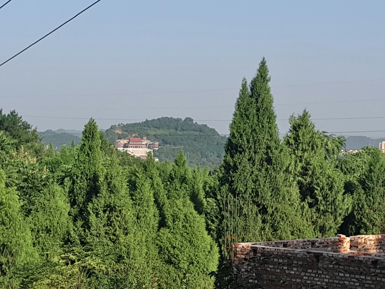 P70911-172002.jpg