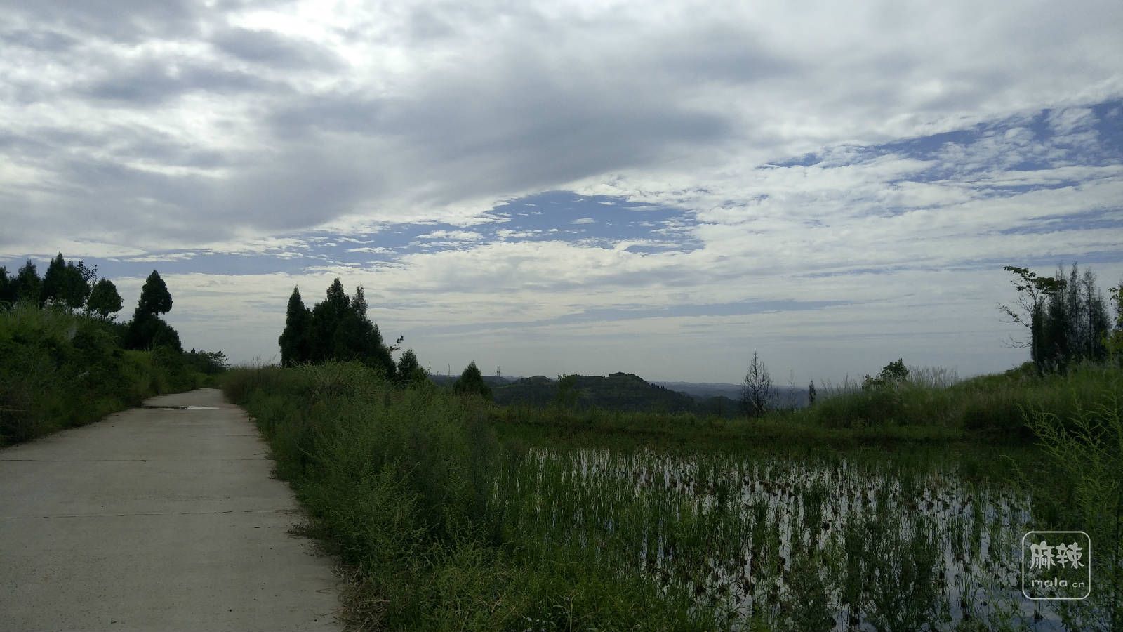 IMG_20170910_152740.jpg
