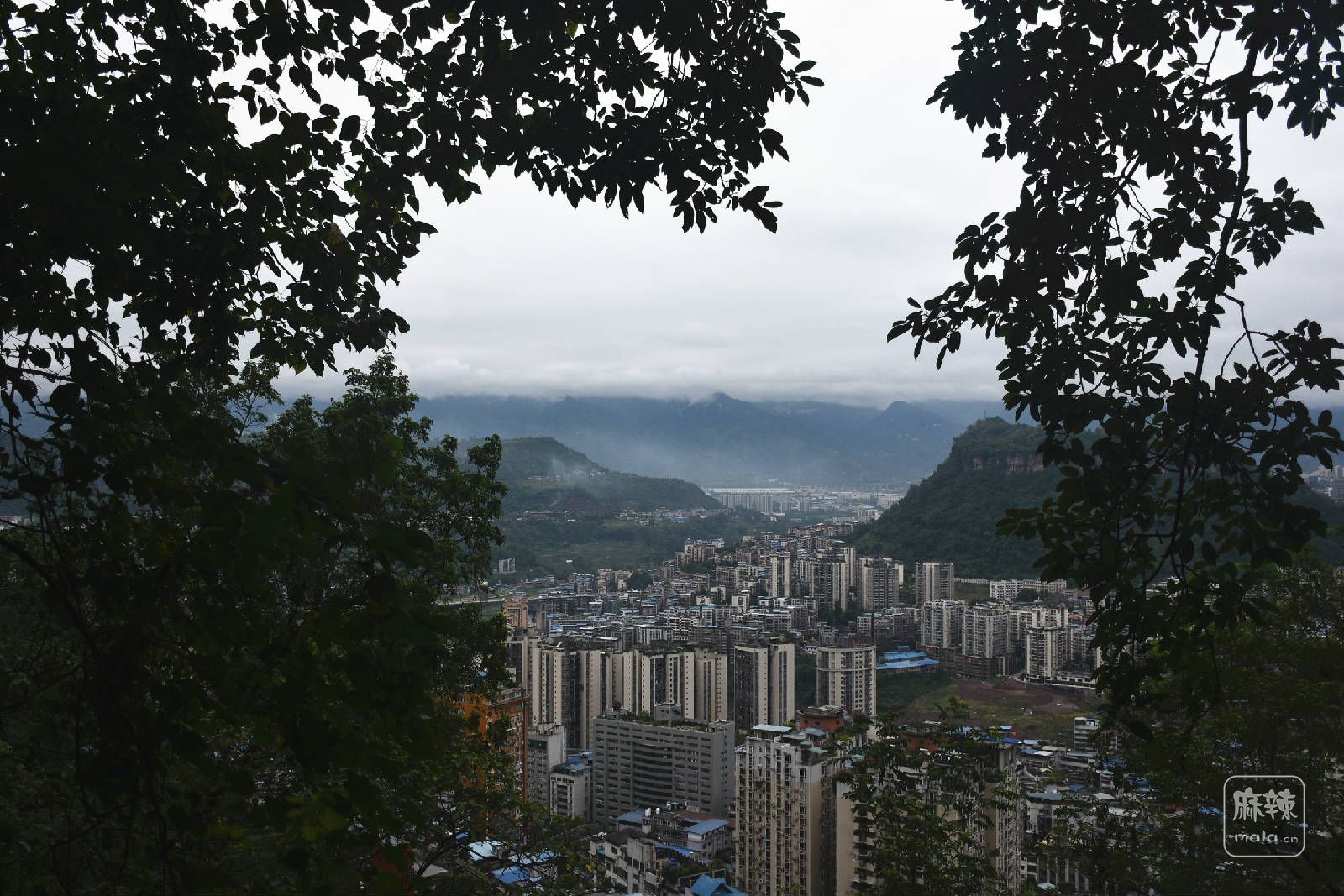 【行拍萬州】站在太白巖上看天子山