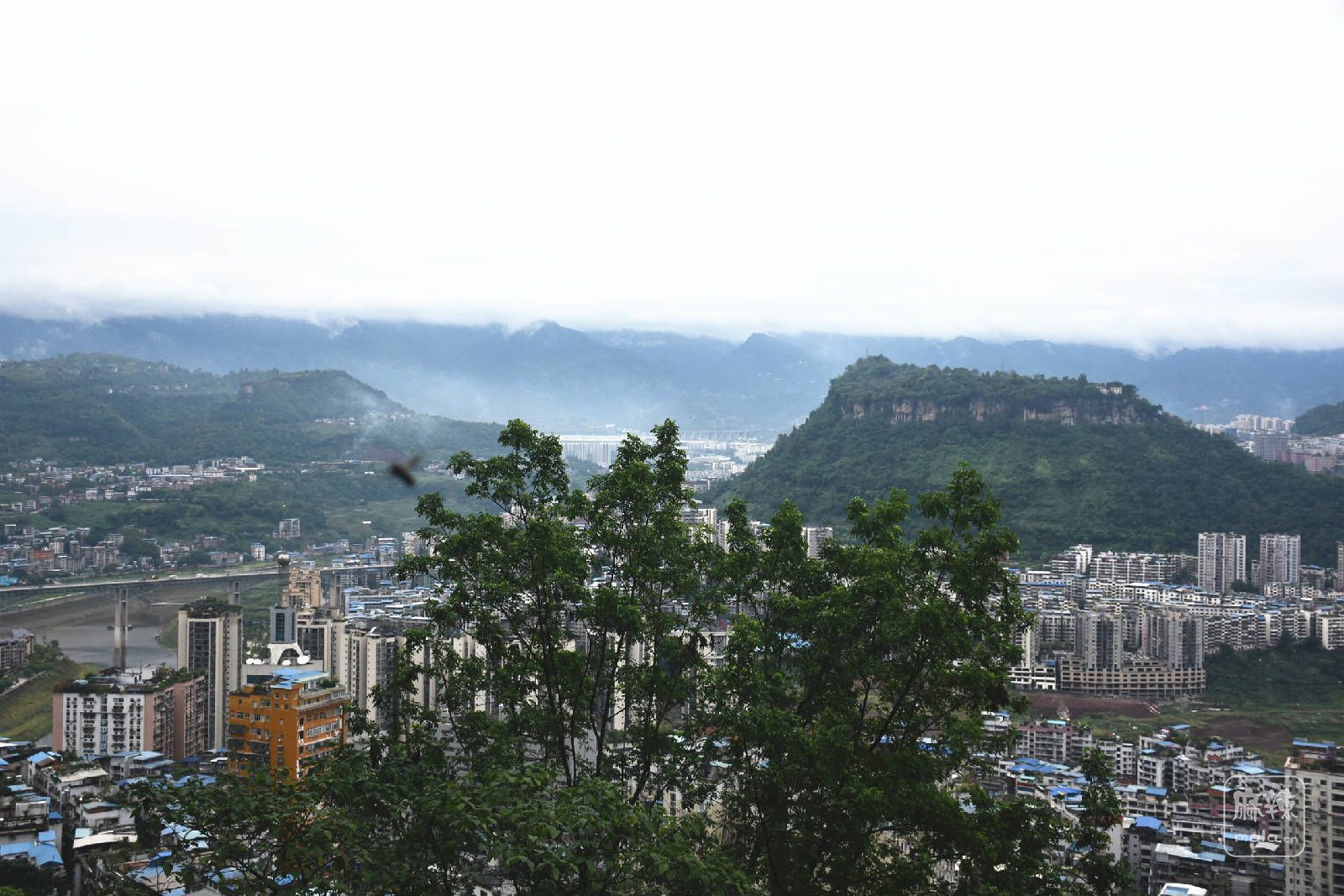 【行拍萬州】站在太白巖上看天子山