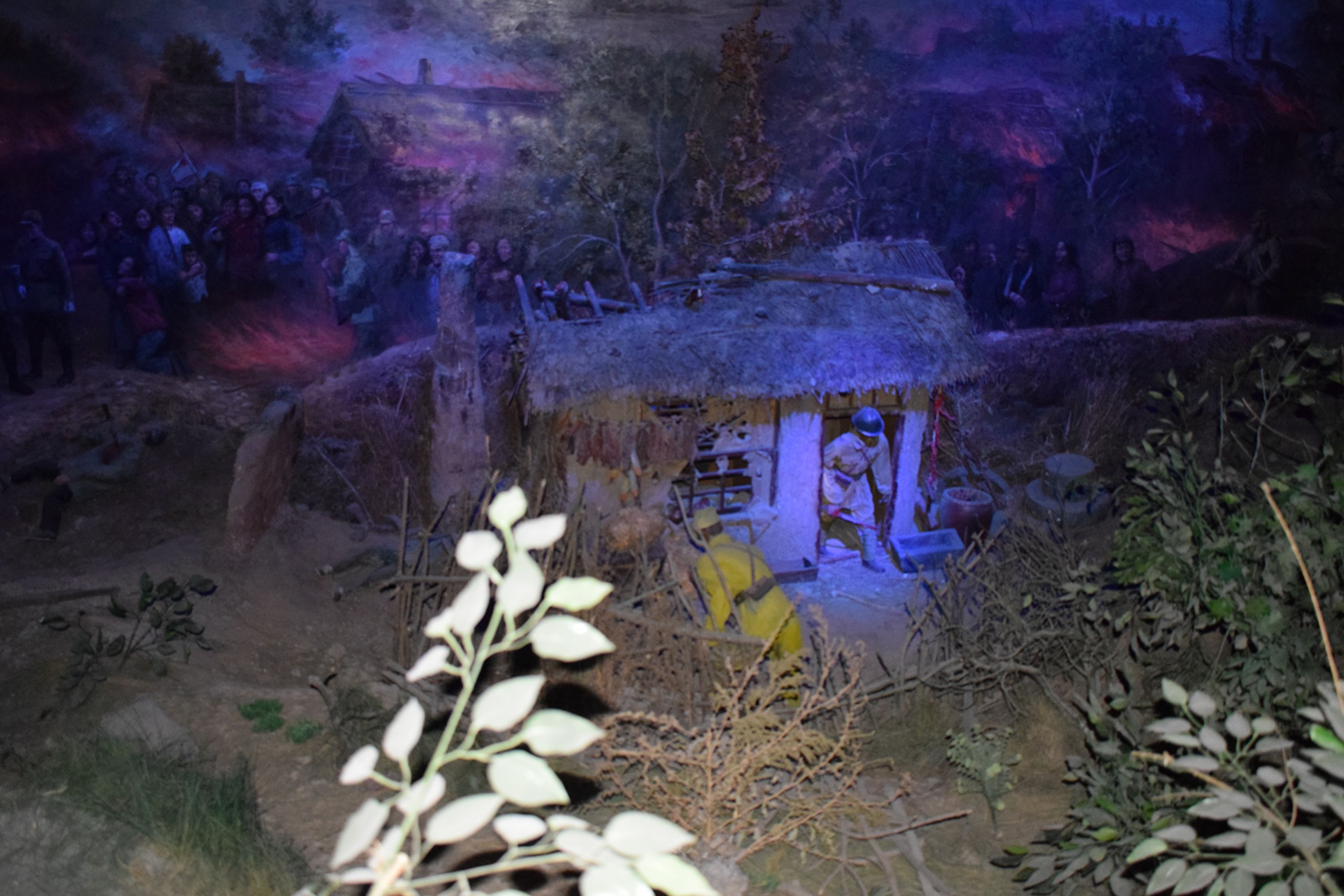 DSC_1913.JPG