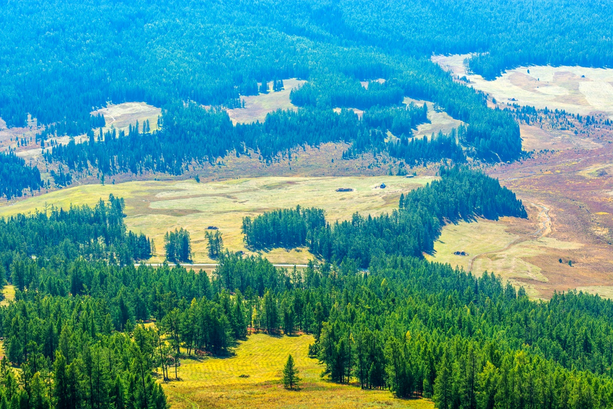 DSC_5619.jpg