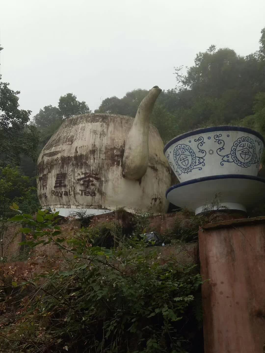 5体味秋的况味，感受秋意绵
