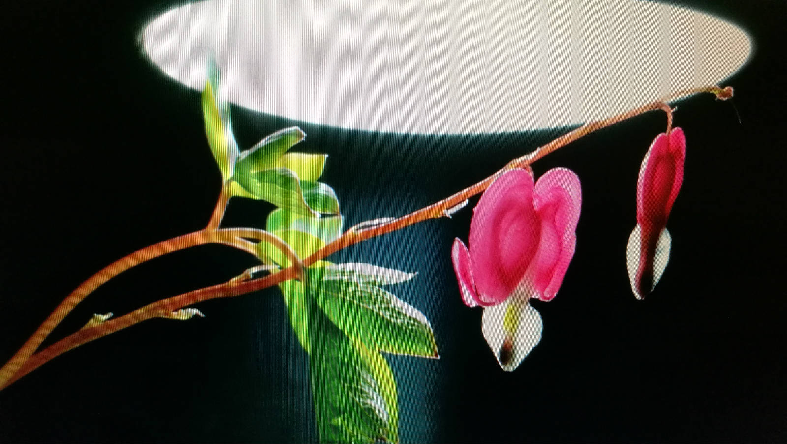 7体味秋的况味，感受秋意绵