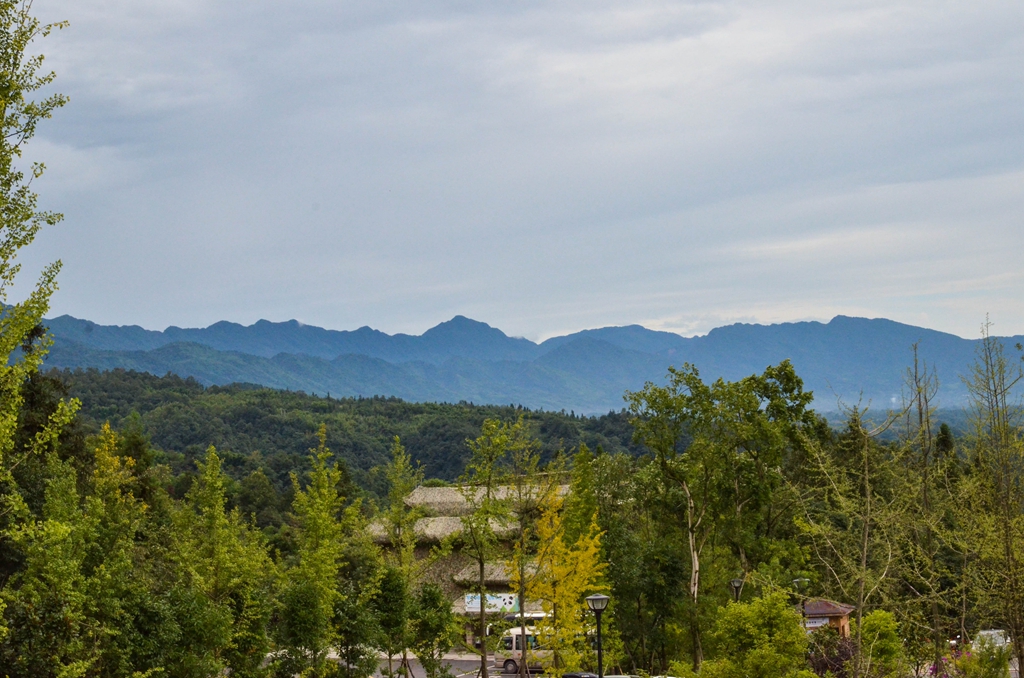 DSC_4276.jpg