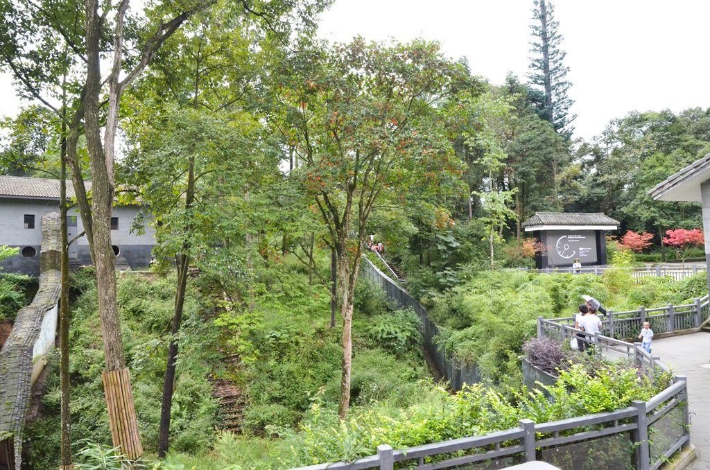 DSC_4363.jpg