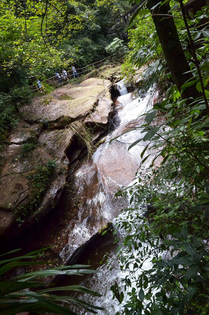 DSC_4401.jpg