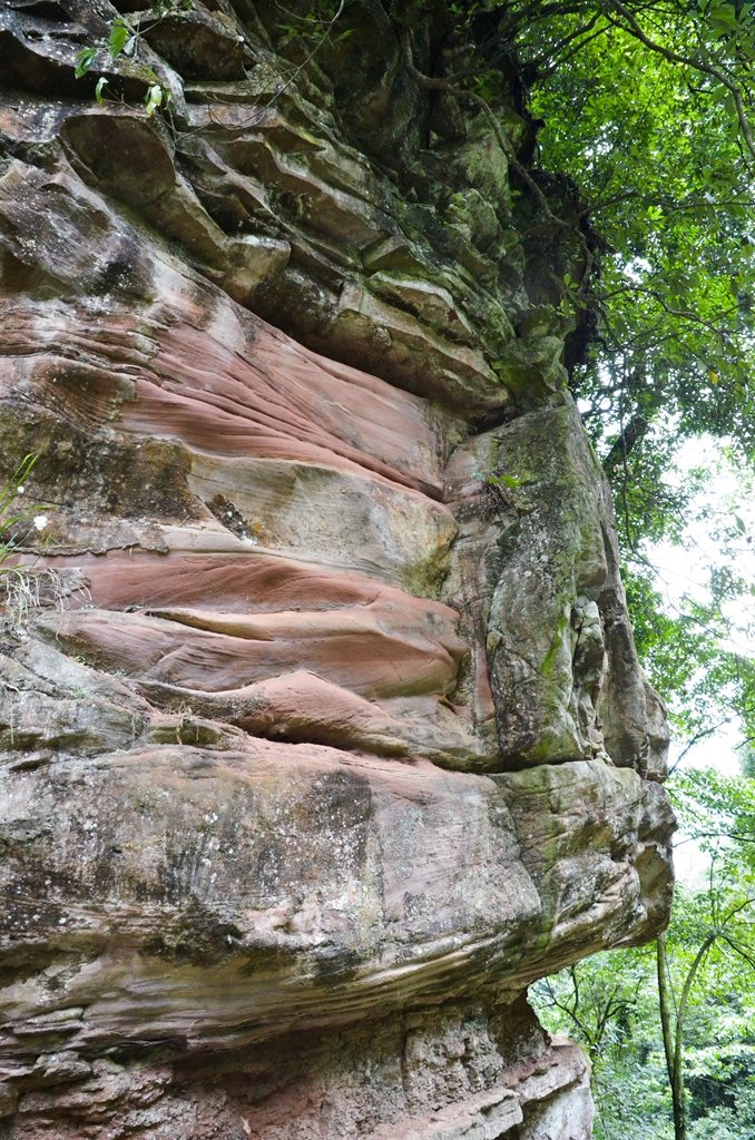 DSC_4410.jpg