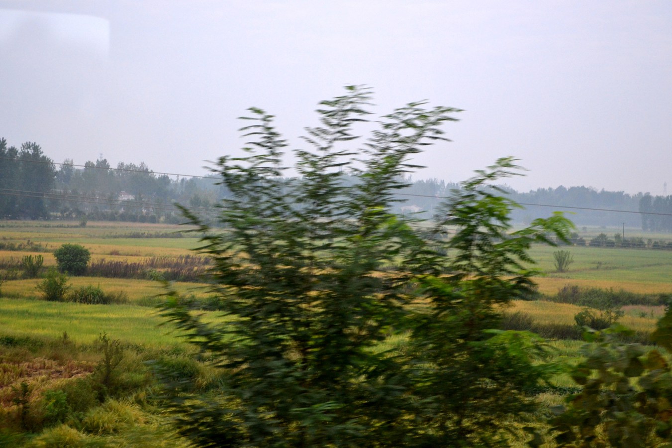 DSC_3852.JPG