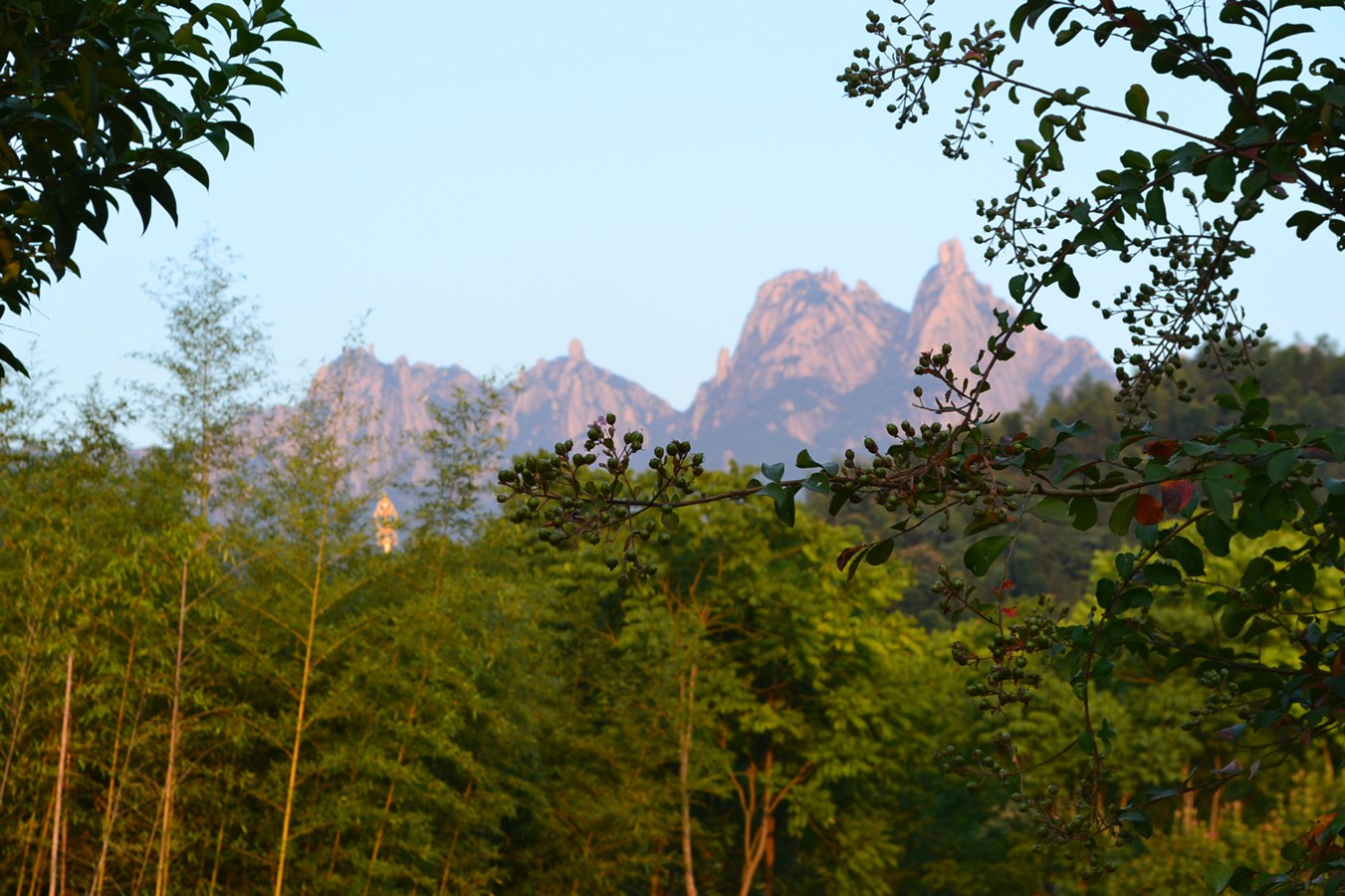 DSC_4052.JPG