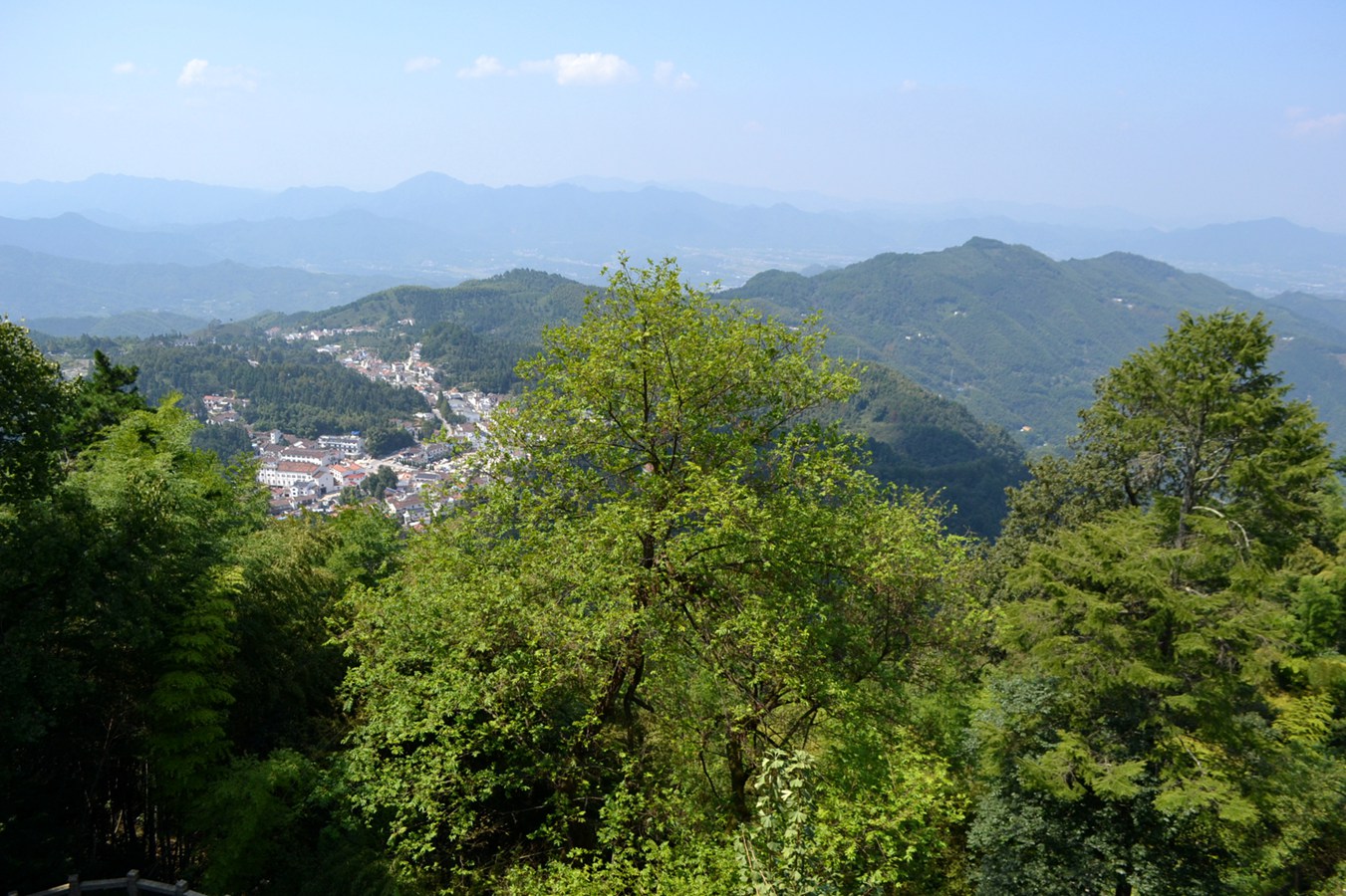 DSC_4332.JPG