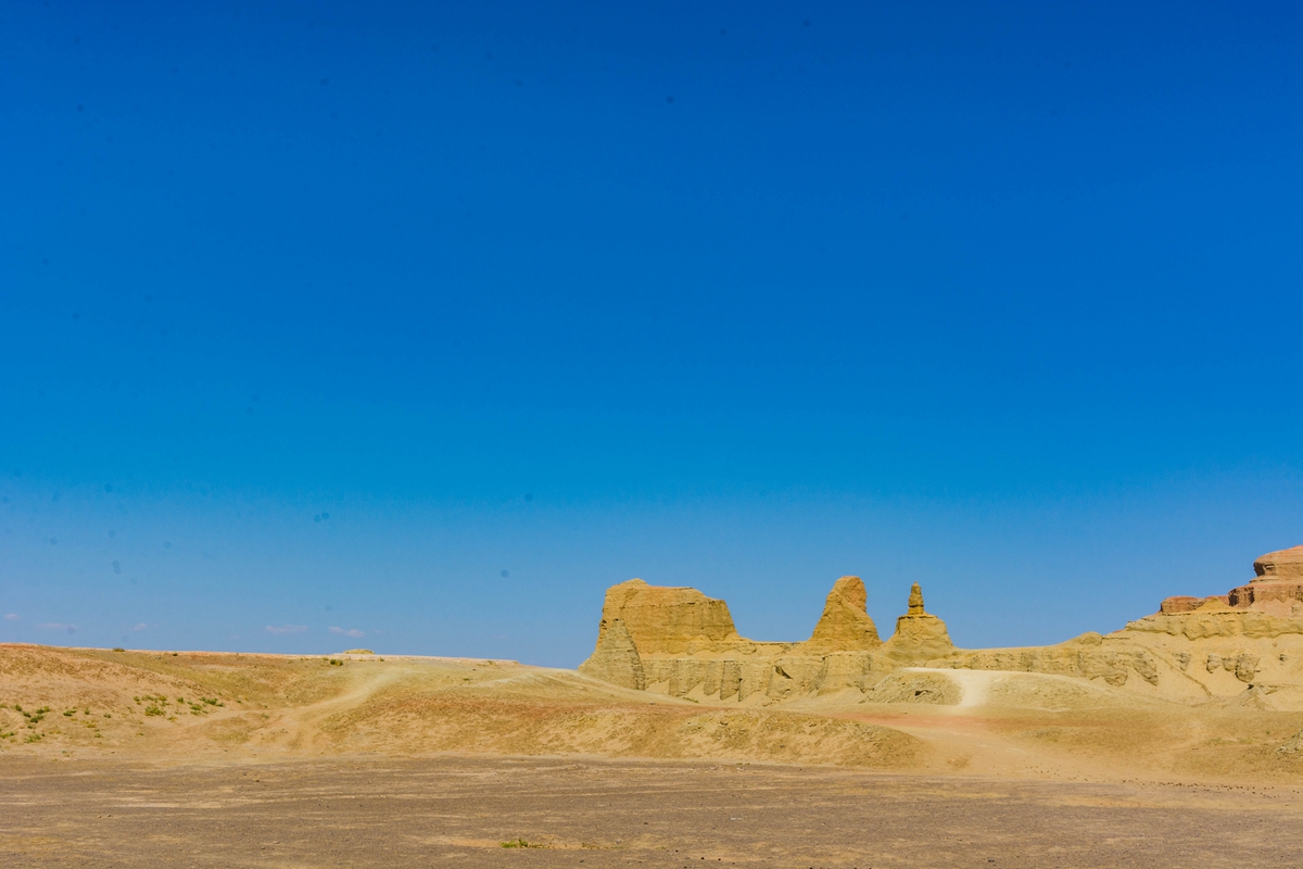 DSC_6204.jpg