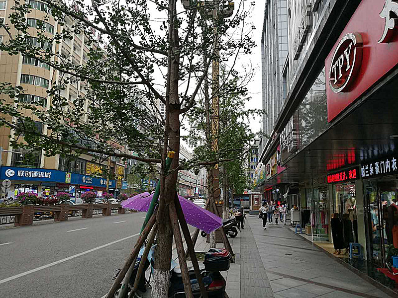 微信图片_20170923182046_副本.jpg