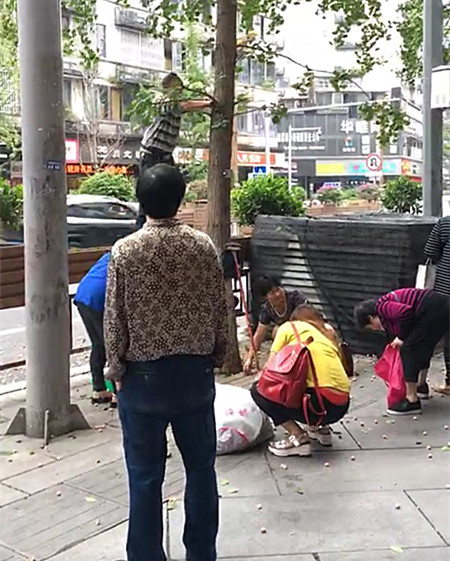 微信图片_20170923182050_副本.jpg
