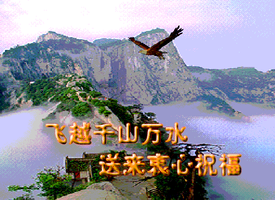 送你真心祝福.gif