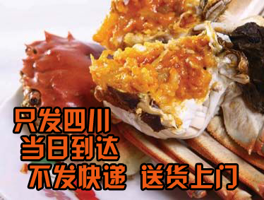 5EA9FD10A8E91FA9EFF4D84814313DA7.jpg
