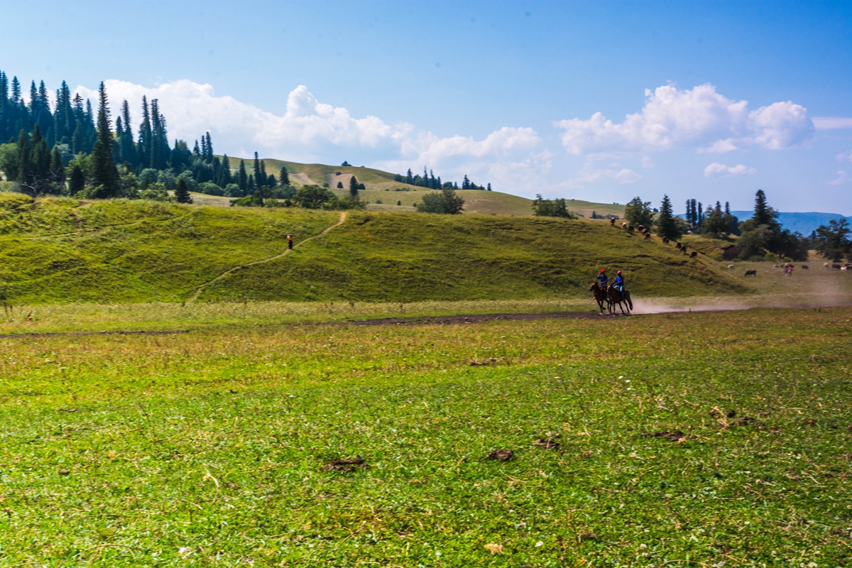 DSC_6707-1.jpg