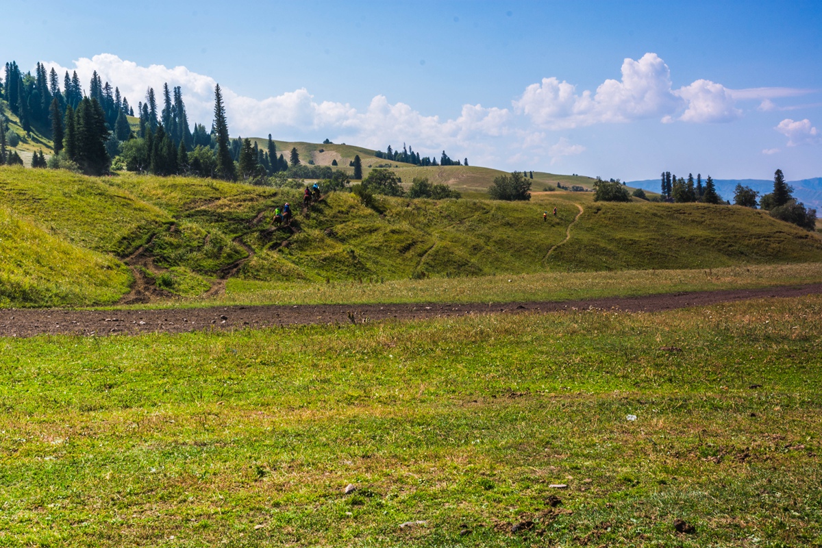 DSC_6699-1.jpg