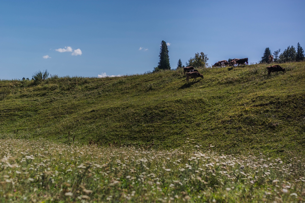 DSC_6734.jpg