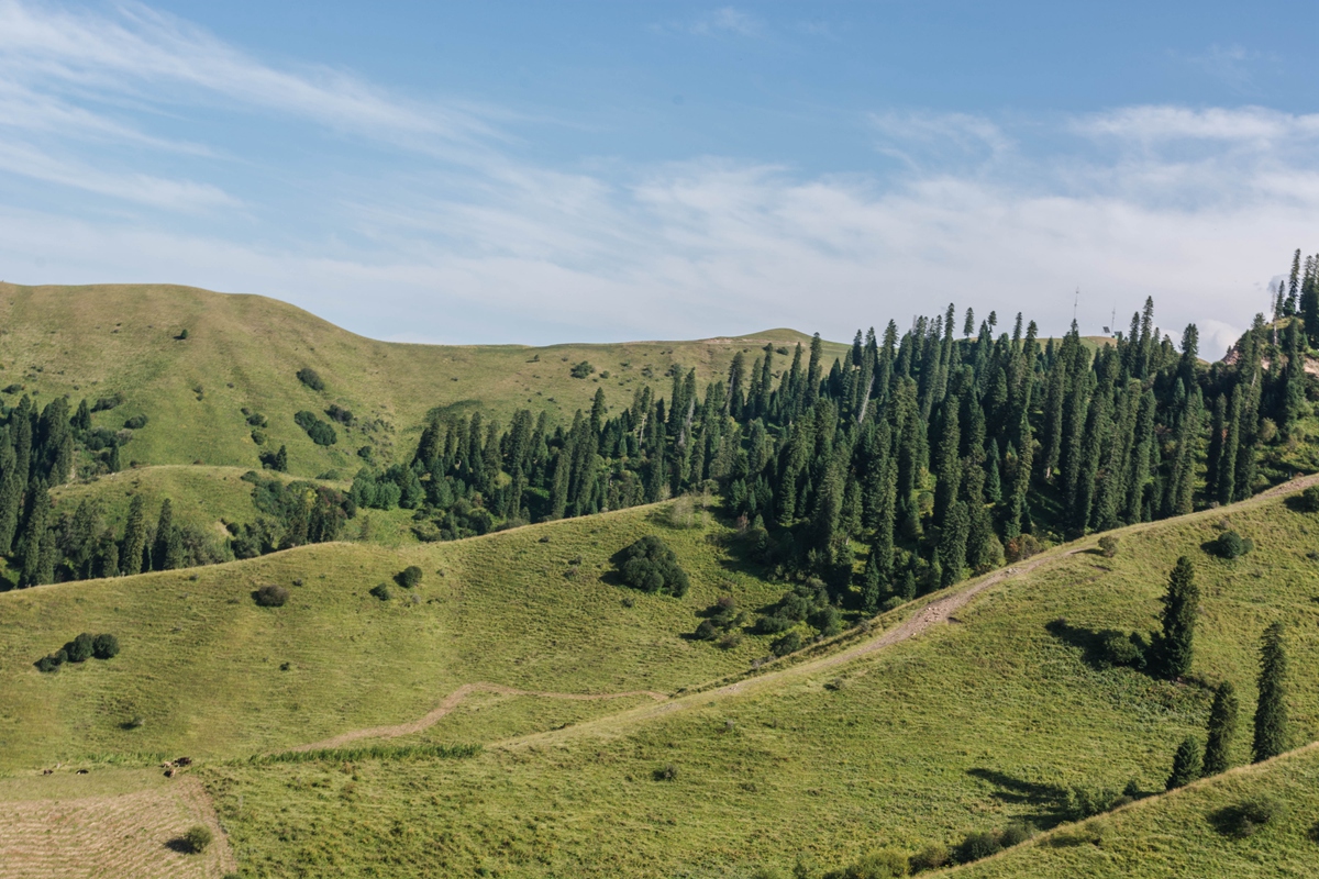 DSC_6854.jpg
