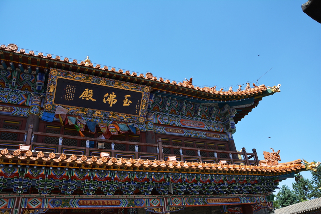 DSC_0051_副本.jpg
