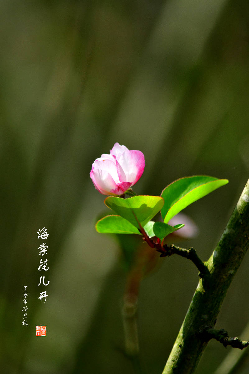 DSC_1855.JPG
