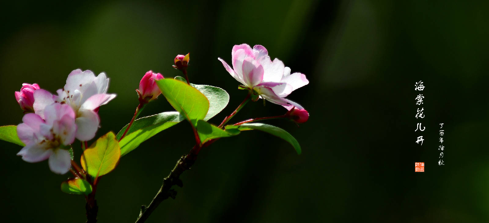 DSC_1891.JPG