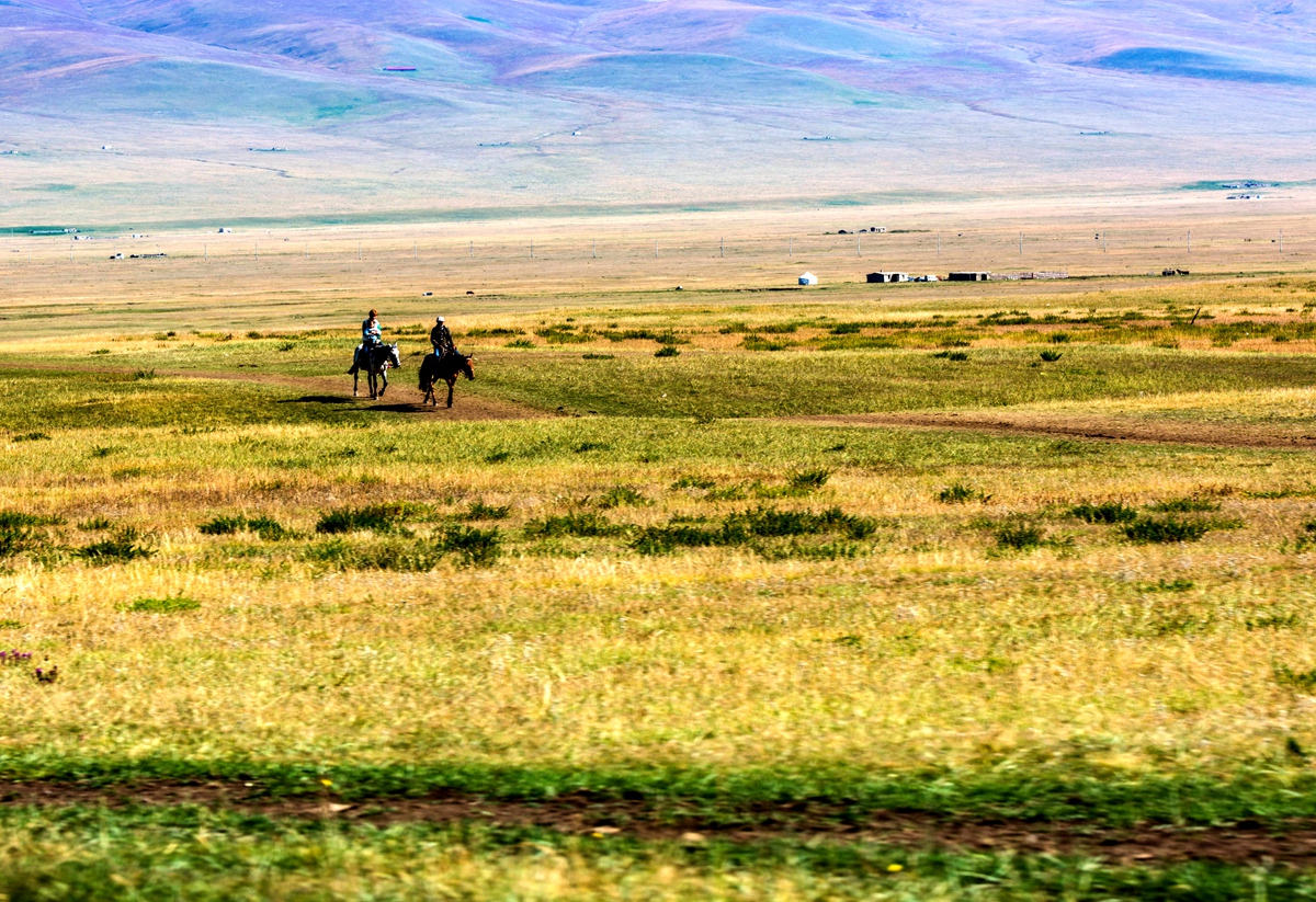 DSC_7212.jpg