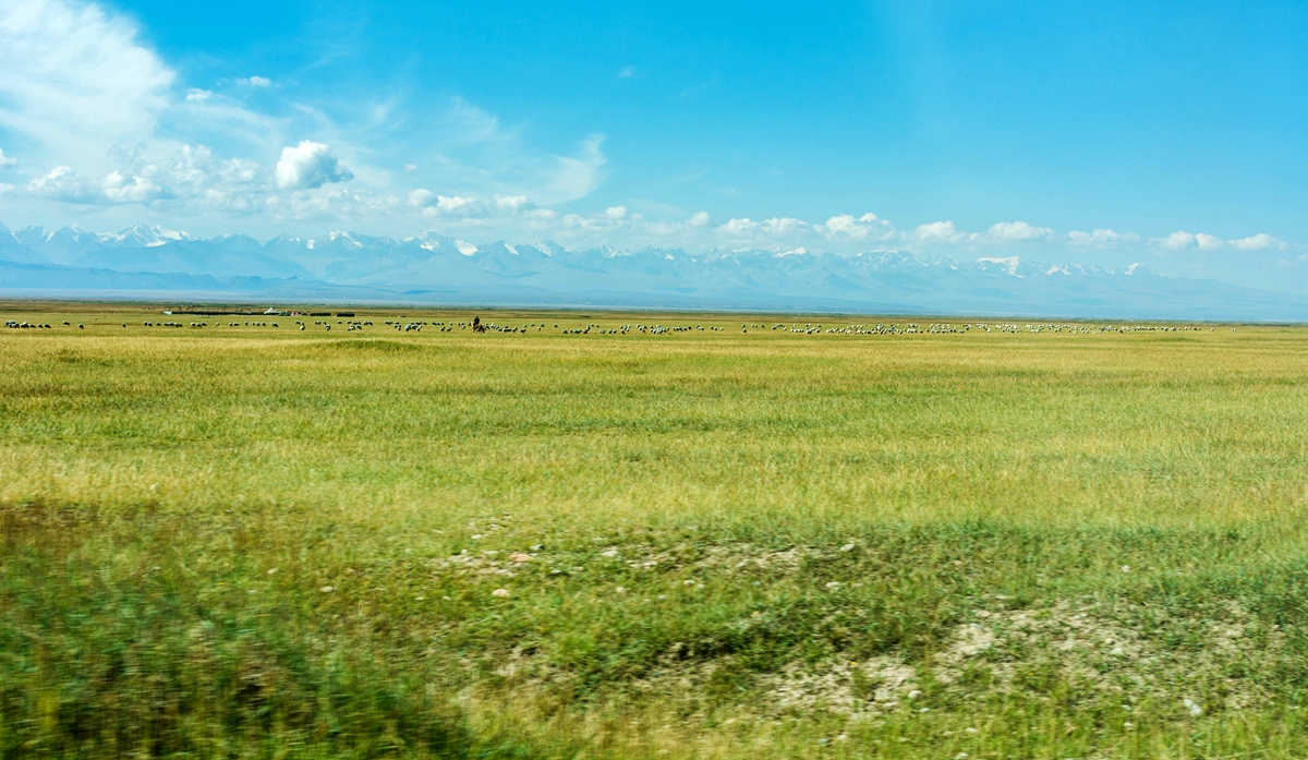 DSC_7226.jpg