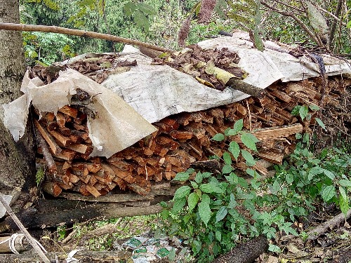 IMG20171005114010.jpg