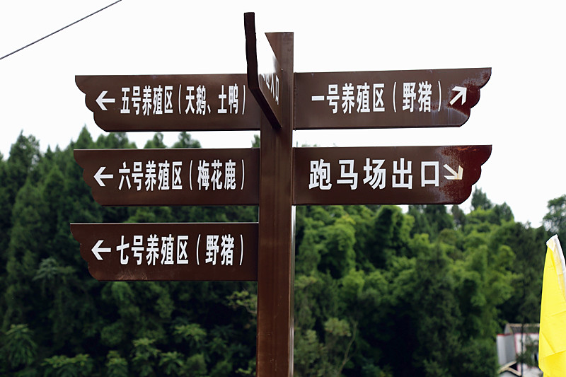 IMG_0515_副本.jpg