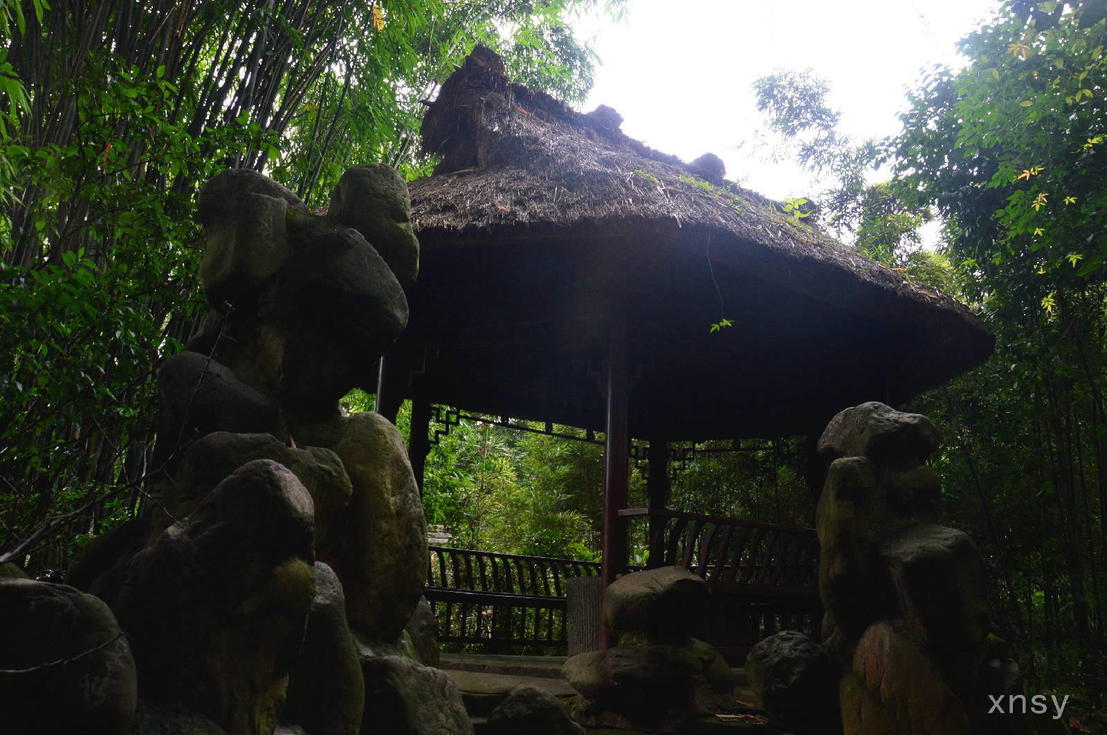 DSC_0343.JPG